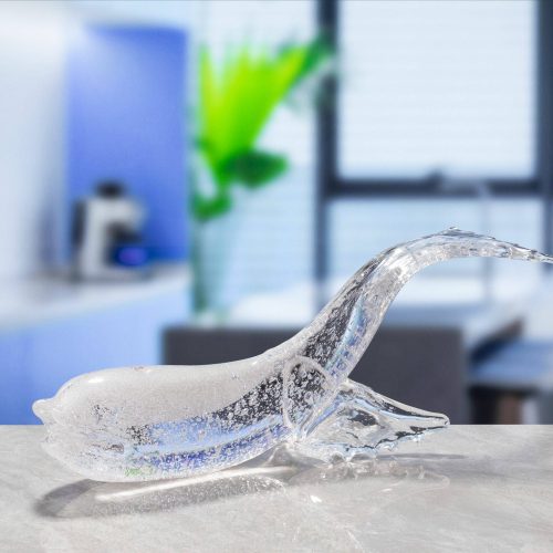 L365mm Clear Bubble Big Whale